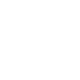 Metaverse